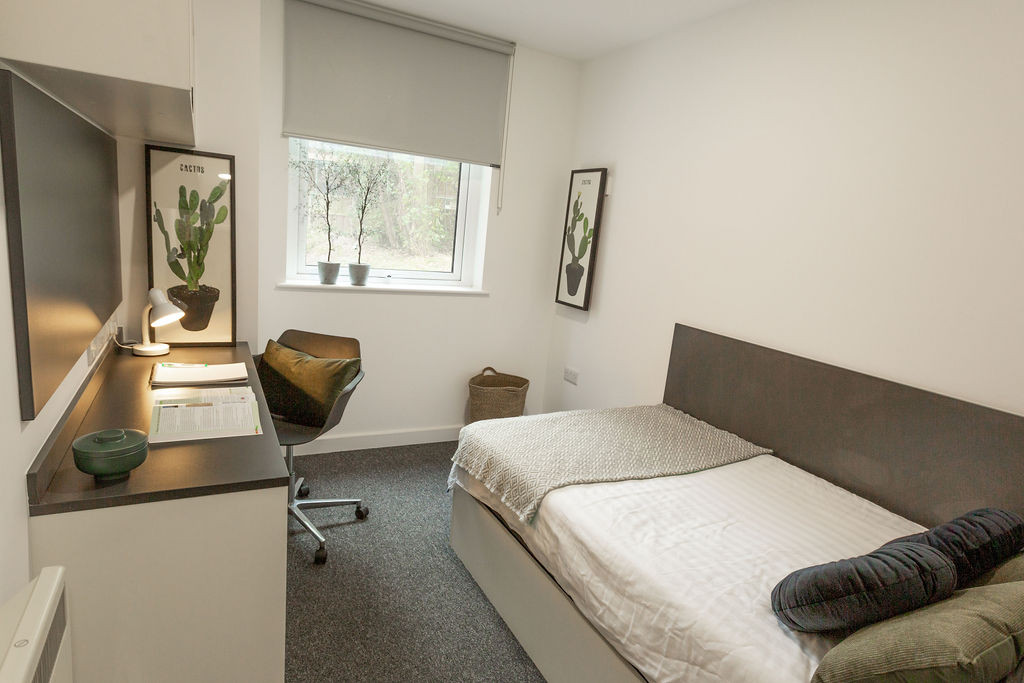 4-Bed Cluster Ensuite Thumbnail