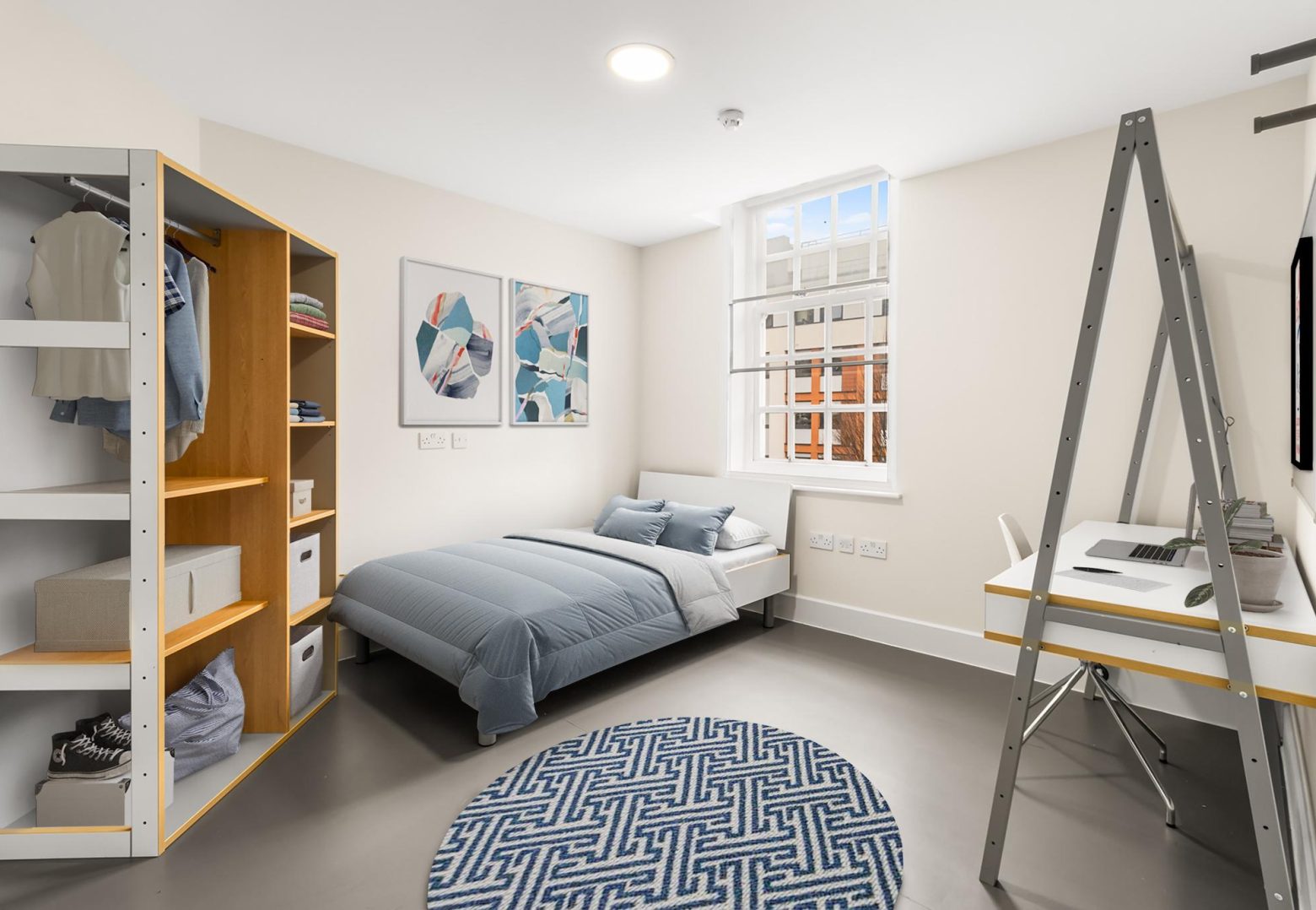 Shared Apartment